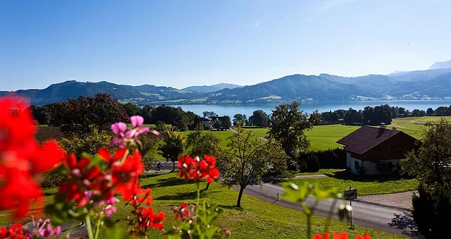 Hotel Haberl am Attersee Ausblick