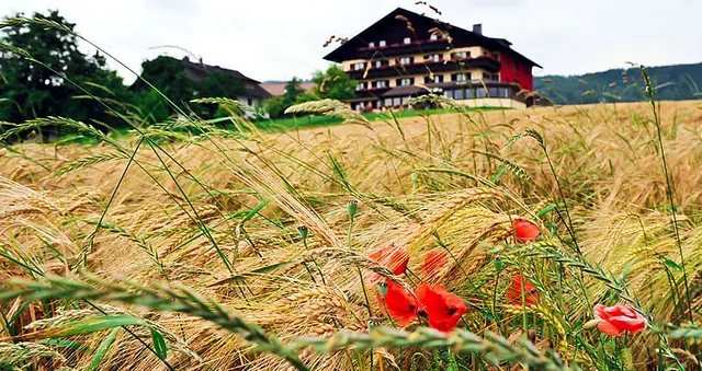 Hotel Haberl am Attersee im Herbst