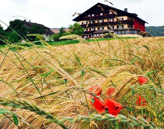 Hotel Haberl am Attersee im Herbst